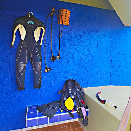 Casa Del Mar Cozumel Hotel & Dive Resort Eksteriør billede